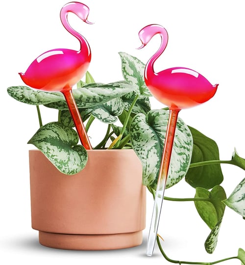 flamingo self watering bulb