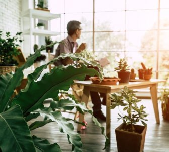 man drinking coffee in interior with indoor plants