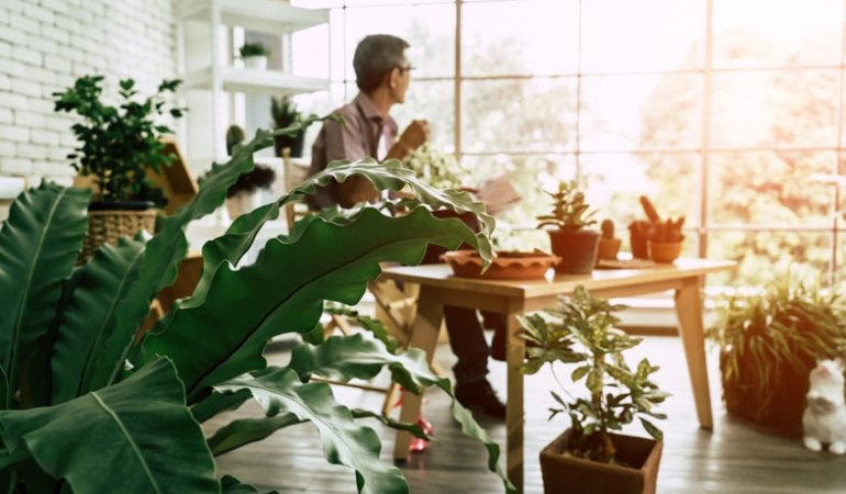 man drinking coffee in interior with indoor plants