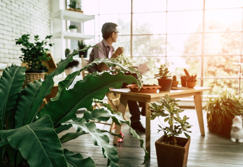 man drinking coffee in interior with indoor plants