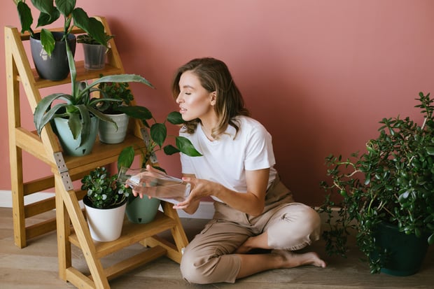 watering indoor plants before leaving