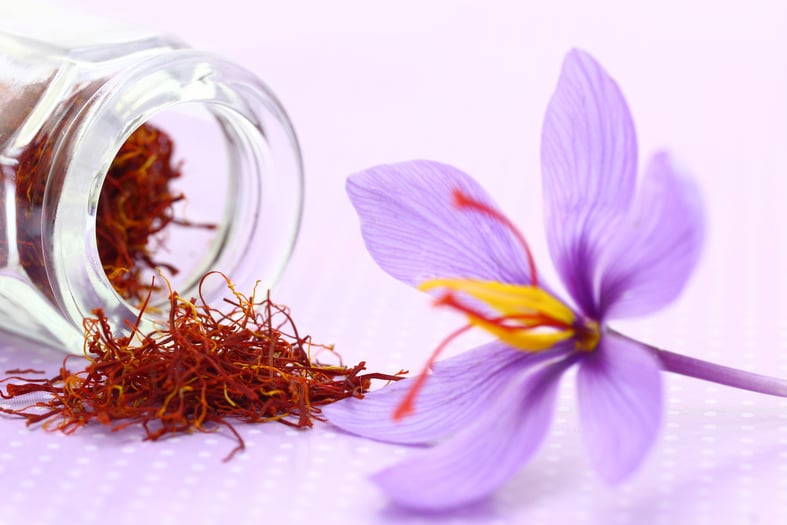 growing saffron indoors