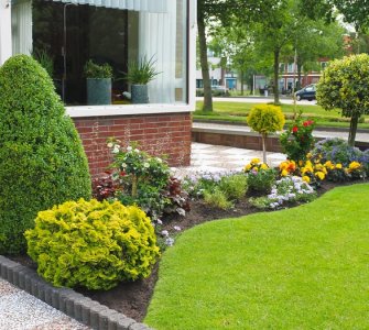 small front garden ideas