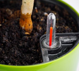 self watering planter