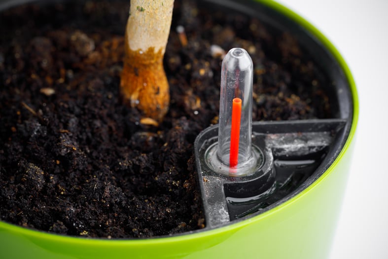 self watering planter