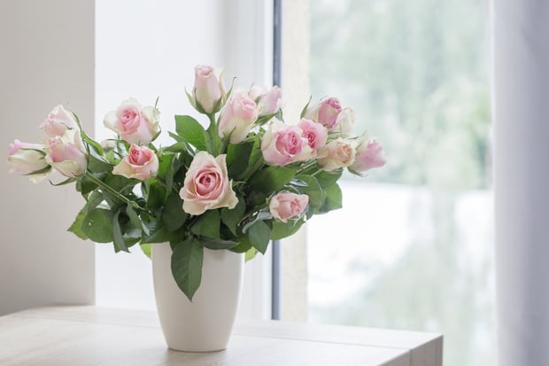 bouquet of pink roses in a vase