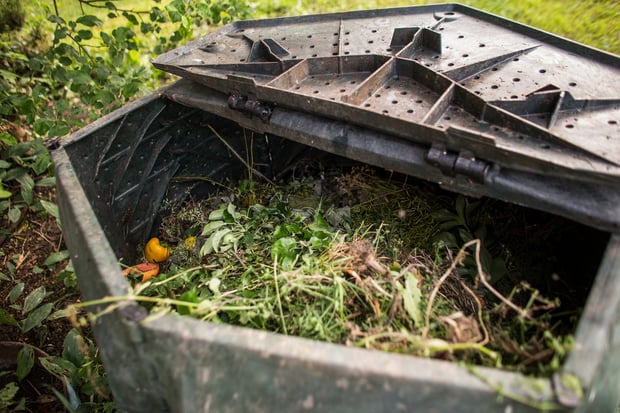 compost bin in the garden