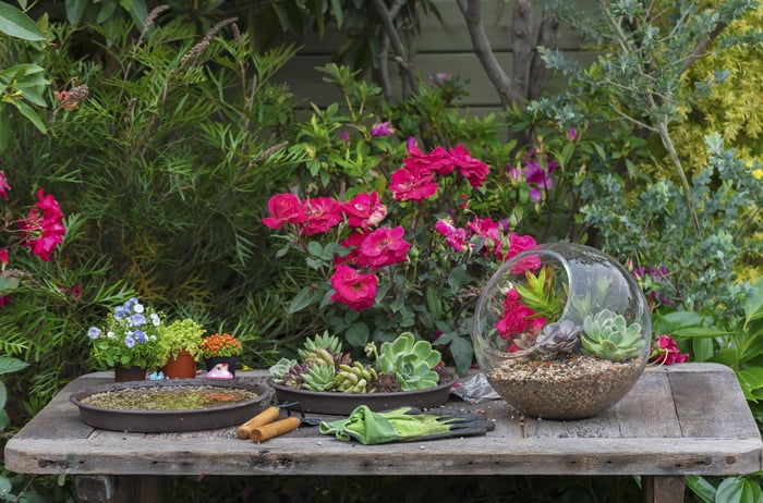 gardening tools with colorful flowers