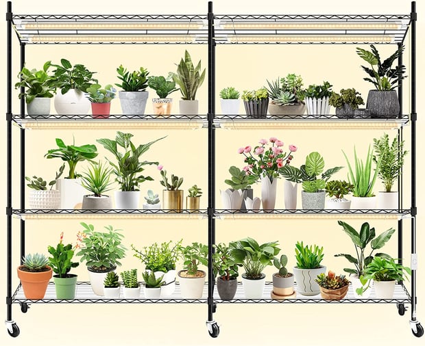 grow lights shelves for plants indoors