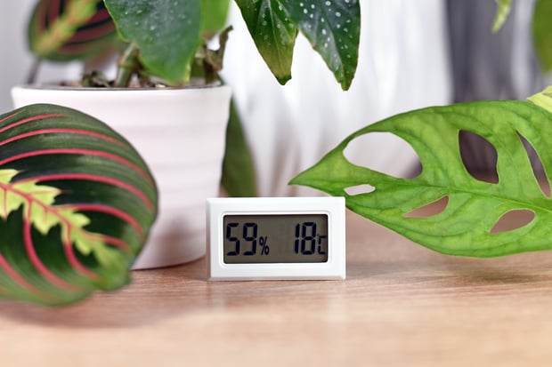 hygrometer to measure humidity