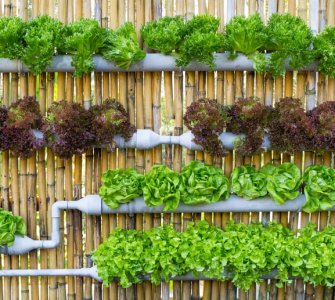 hydrophonic vertical growing system